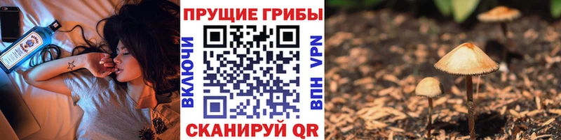 OMG рабочий сайт  Балахна  Галлюциногенные грибы GOLDEN TEACHER 